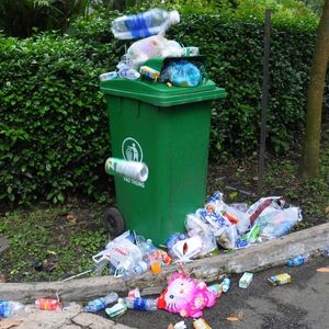 Tác hại của việc xả rác bừa bãi