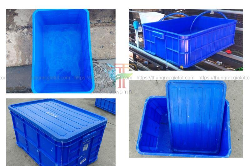 Hình ảnh thực tế sóng nhựa nuôi cá