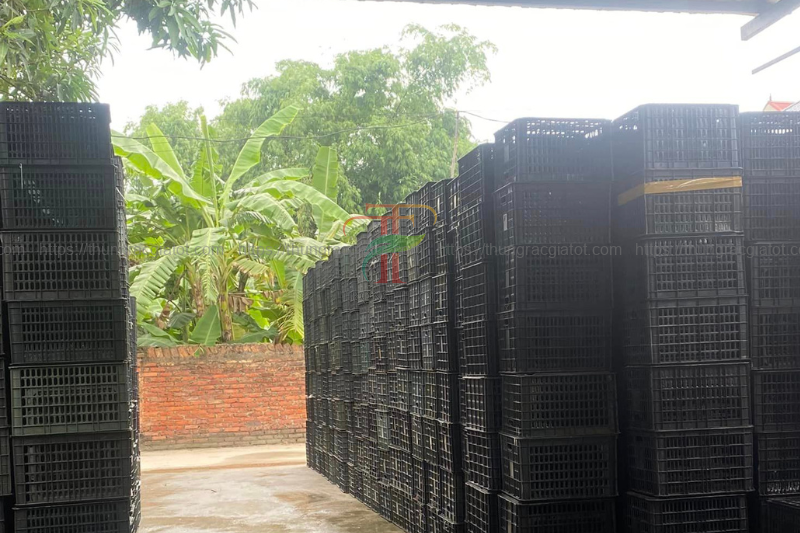 Chính sách mua hàng Trọng Thức