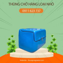 Thùng chở hàng loại nhỏ xanh dương