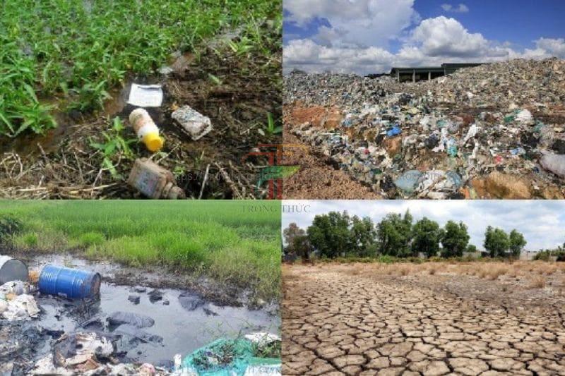 Tác hại của rác thải nhựa mang lại cho môi trường