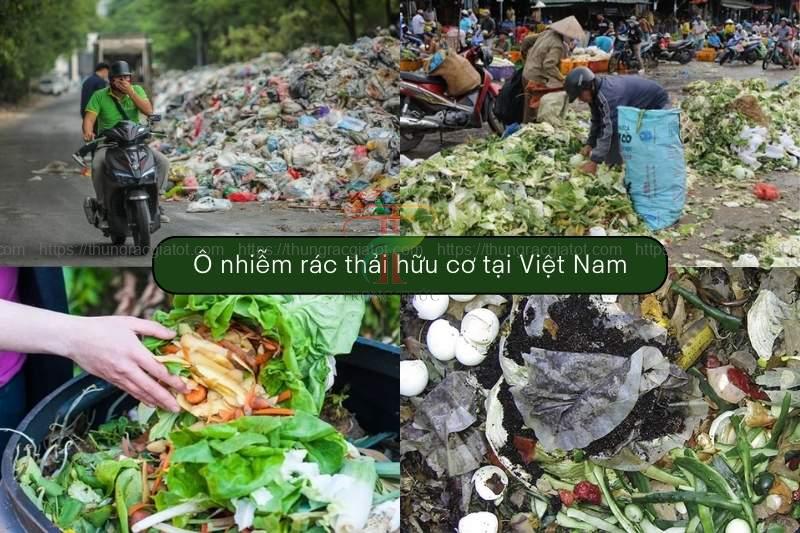 Rác hữu cơ