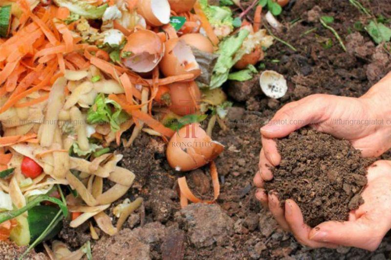 Ứng dụng của rác hữu cơ trong sinh hoạt