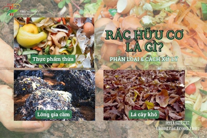 Rác hữu cơ